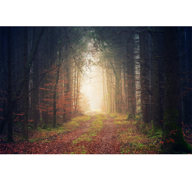 Fototapete durch den Wald - TenStickers