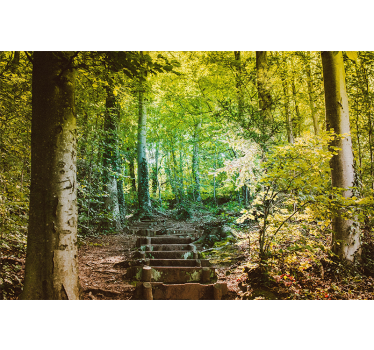 Fototapete Wald Weg mit Treppen - TenStickers