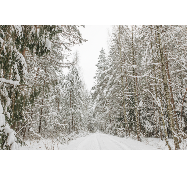 Fototapete schneebedeckte Tannen - TenStickers