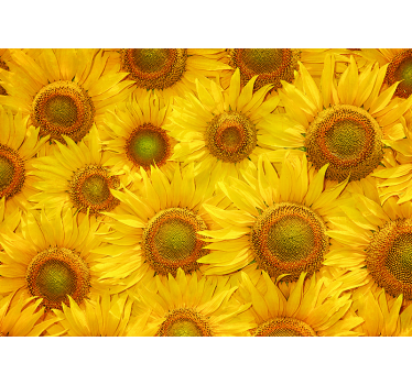 Wohnzimmer Fototapete Sonnenblumen - TenStickers