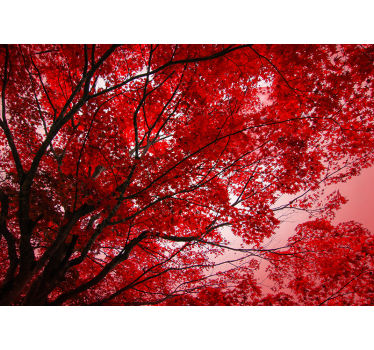 Baum Fototapete rote blumige Zweige - TenStickers