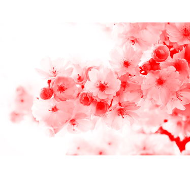 Fototapete blumen blühende florale - TenStickers