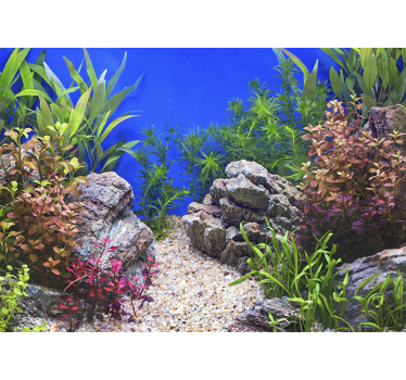 Fototapete Natur wasserlandschaft - TenStickers