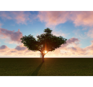 Fototapete baum sonnenbeschienener einzelbaum - TenStickers