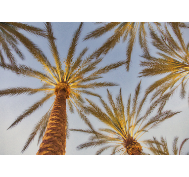 Fototapete baum kontur einer palme - TenStickers