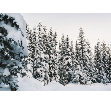 Fototapete natur schneebedeckte kiefern - TenStickers