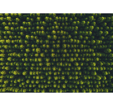 Fototapete natur üppige blätterlandschaft - TenStickers