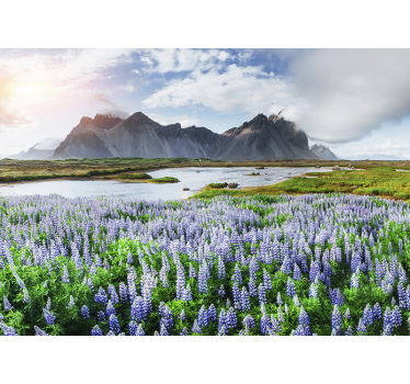 Fototapete berge mit üppigen blauen lupinen - TenStickers