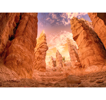 Rose Canyon Foto Fototapete - TenStickers