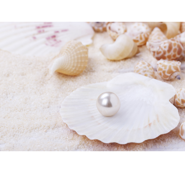 Fototapete natur muscheln mit perle - TenStickers