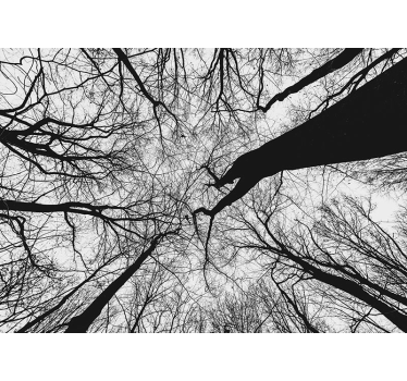 Fototapete baum mit verwobenen astsilhouetten - TenStickers