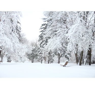 Fototapete natur ruhige winterlandschaft - TenStickers