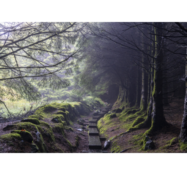Fototapete wald mystischer waldweg - TenStickers