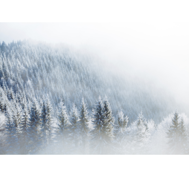 Fototapete Wald Schneebedeckte weihnachtsbäume - TenStickers