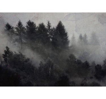 Fototapete Wald neblige neblige atmosphäre - TenStickers