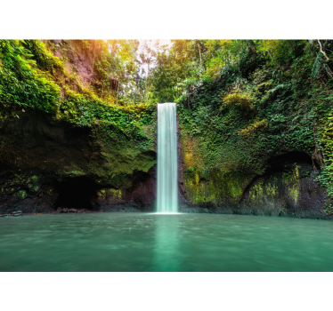 Fototapete wasserfall ruhige wasserfall-oase - TenStickers
