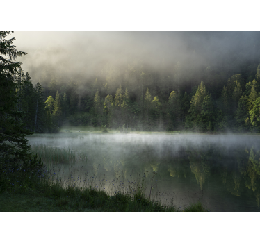 Fototapete Landschaften nebligen wald reflexion - TenStickers