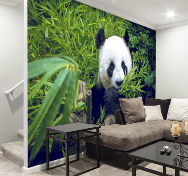 Bambus Fototapete Panda Tier - TenStickers
