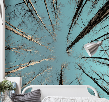 Fototapete baum bäume erreichen den himmel - TenStickers