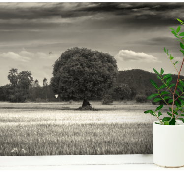 Fototapete Baum verlassener baum landschaft - TenStickers
