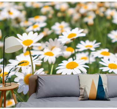 Fototapete blumen gänseblümchen leuchtend blühend - TenStickers