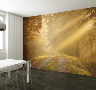 Fototapete Dschungel feuchter wald mit sonnenlicht - TenStickers