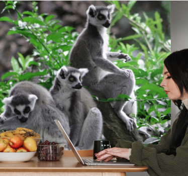 Fototapete Länder Wildtiere lemuren madagaskar - TenStickers