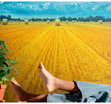 Fototapete Landschaften goldenes erntefeld - TenStickers