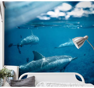 Fototapete Meer begegnung mit delfinen unter wasser - TenStickers