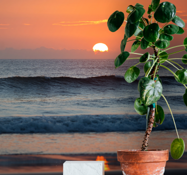 Fototapete Meer sonnenuntergang ozean horizont - TenStickers