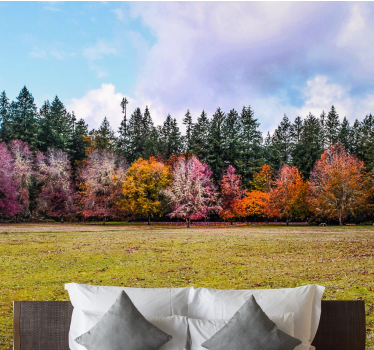 Fototapete natur bunter herbstwald - TenStickers