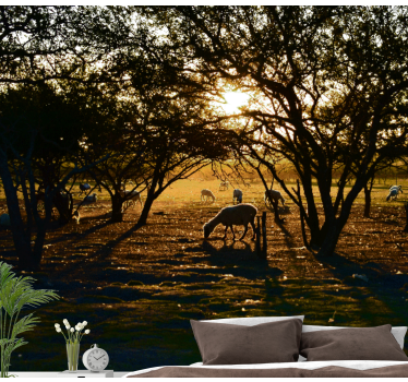 Fototapete natur goldener sonnenuntergang weide - TenStickers