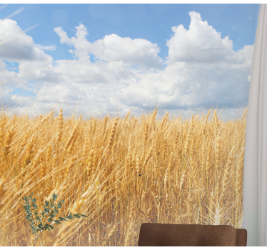 Fototapete Natur goldenes weizenfeld - TenStickers
