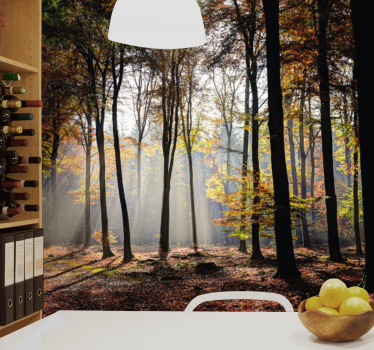 Fototapete natur herbstwaldstrahlen - TenStickers