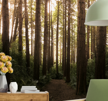Fototapete natur hohe waldtrees - TenStickers