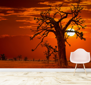 Fototapete Natur majestätische bäume im sonnenuntergang - TenStickers