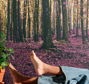 Fototapete natur ruhige waldszene - TenStickers
