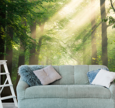 Fototapete natur sonne zwischen waldbäumen - TenStickers