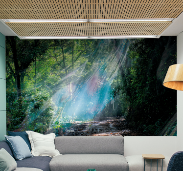 Fototapete natur strahlender waldweg - TenStickers