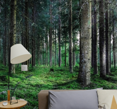 Fototapete natur Üppiger waldweg - TenStickers