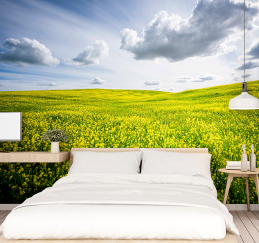 Fototapete natur weites grünes feld - TenStickers