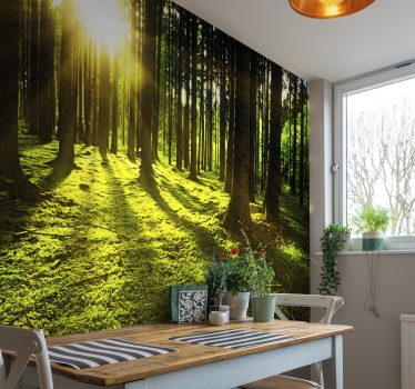 Fototapete wald im sonnenlicht - TenStickers