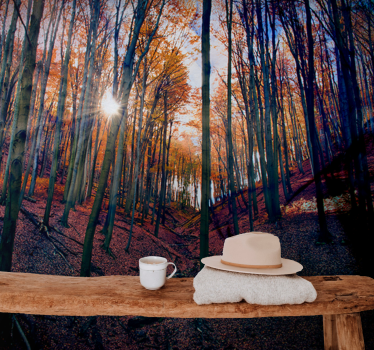 Fototapete wald im sonnenlicht des herbstes - TenStickers