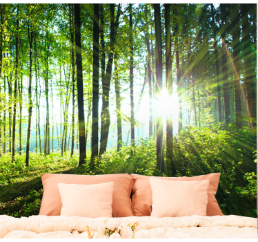 Fototapete wald sonnendurchfluteter waldblick - TenStickers