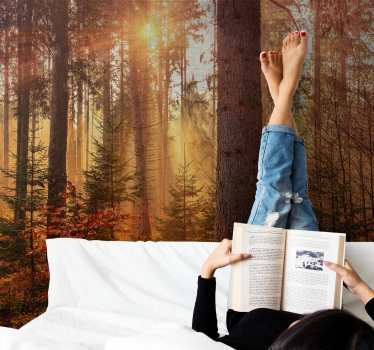 Fototapete wald strahlende waldbeleuchtung - TenStickers
