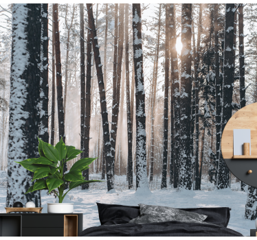 Fototapete Wald winterliche kiefernwälder - TenStickers