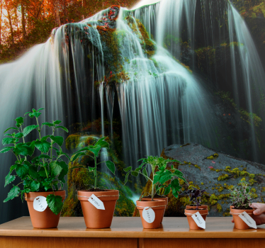 Fototapete wasserfall sanftes fallendes wasser - TenStickers