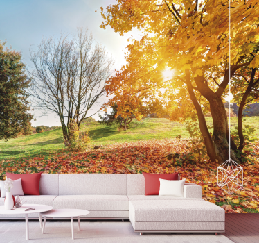 Herbstlicher Morgen Wald Natur Fototapete - TenStickers