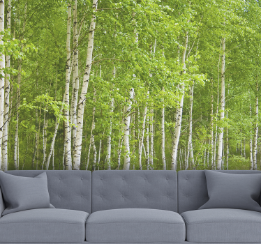 Landschaft Fototapete Birkenwald - TenStickers