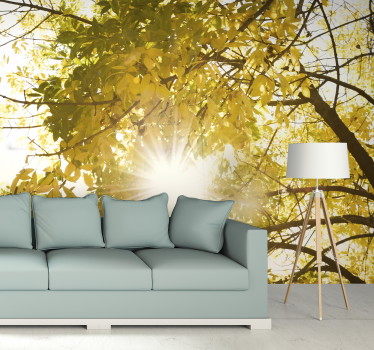 Fototapete Natur herbst kronen strahlen - TenStickers